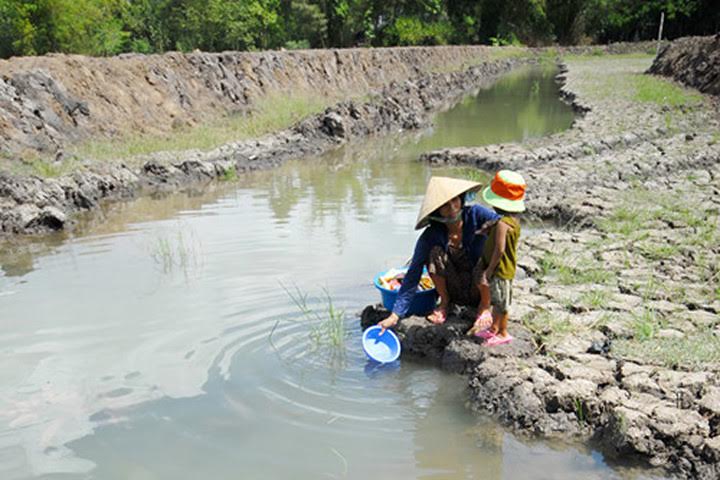 Nam Bộ: Mưa trái mùa làm giảm xâm nhập mặn
